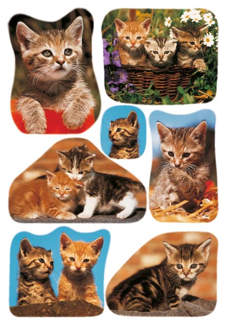Hovedbilde DECOR Stickers Bilder av katter, papir, 3 ark (10 ...