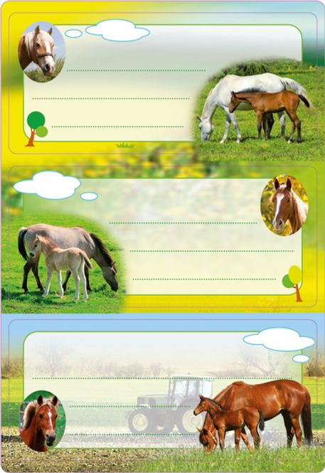 Hovedbilde VARIO boketiketter Hester med glitter, 2 ark (10 ...