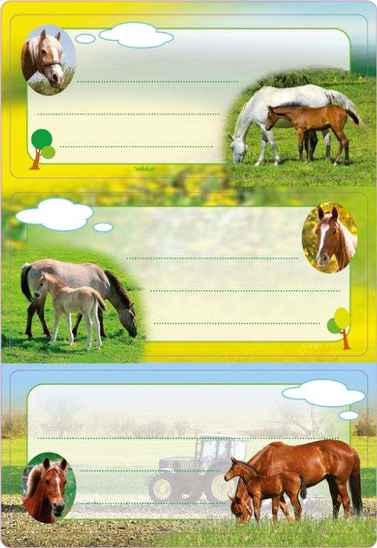 VARIO boketiketter Hester med glitter, 2 ark (10 pakk)