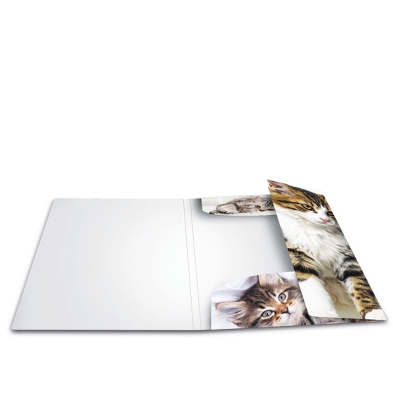 HERMA strikkmappe i plastmateriale, A4, Dyr, Katt (3 pakk)