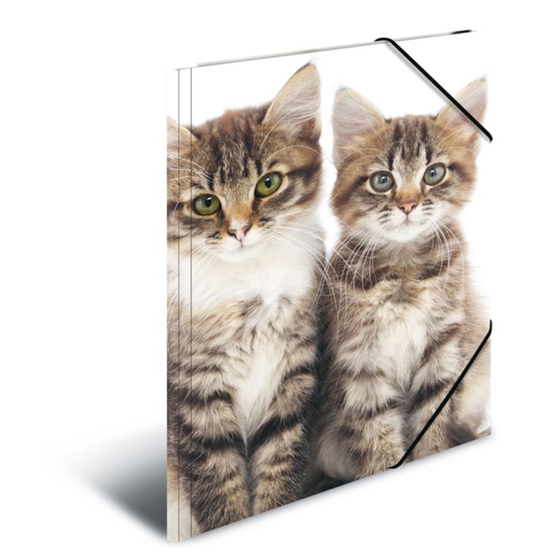 HERMA strikkmappe i plastmateriale, A4, Dyr, Katt (3 pakk)