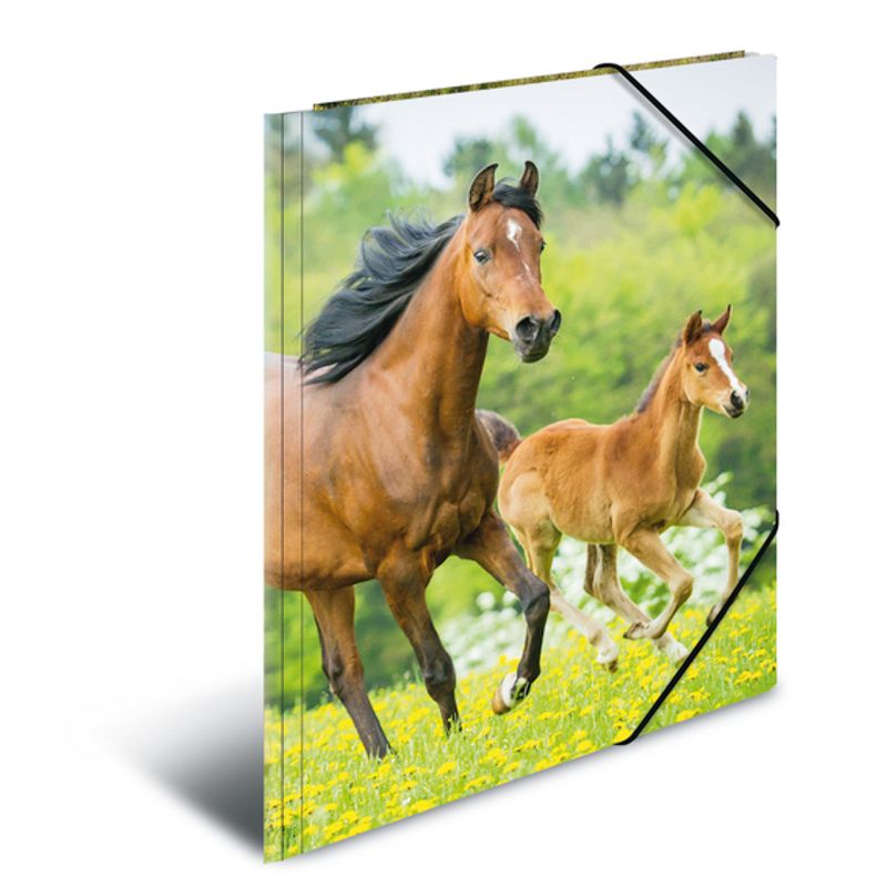 HERMA strikkmappe i plastmateriale, A4, Dyr, Hest (3 pakk)