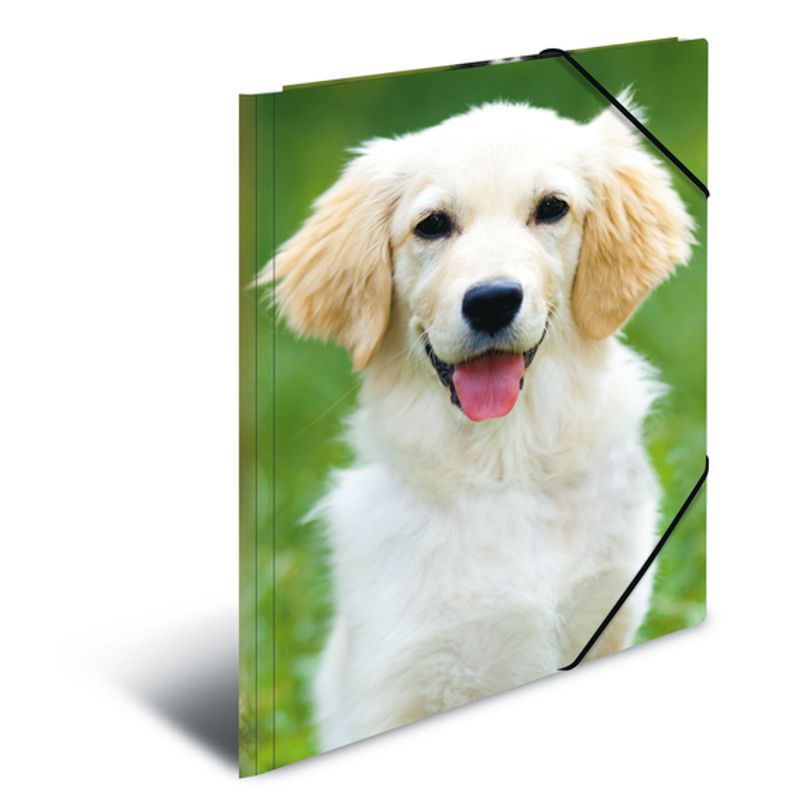 HERMA strikkmappe i plastmateriale, A3, Dyr, Hund (3 pakk)